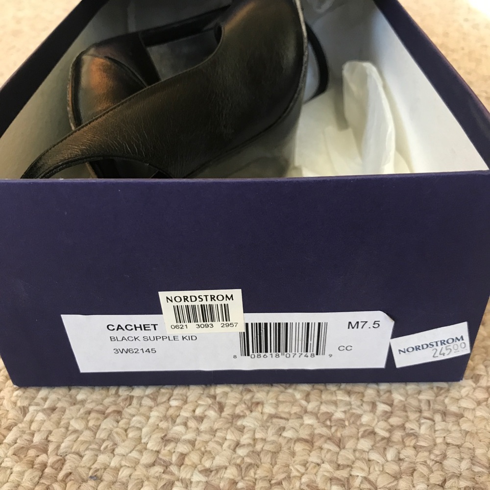 Stuart Weitzman Heels - image 5